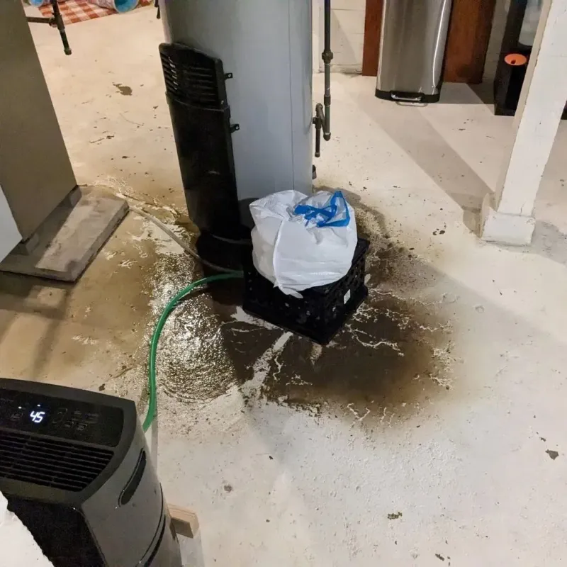 Sewage Backup Cleanup Service in Lompoc, CA
